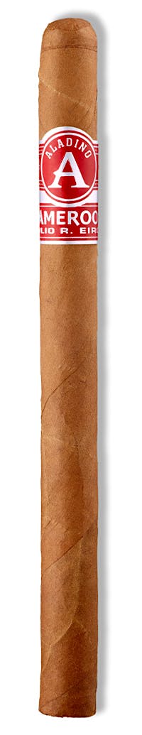 Aladino Aladino Cameroon Elegante