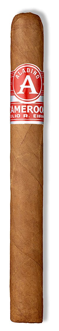 Aladino Aladino Cameroon Lonsdale