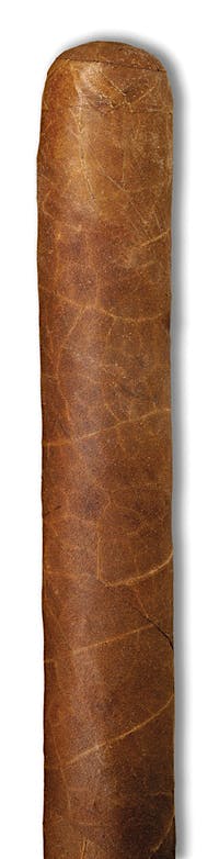 Cain Cain F Nub 460