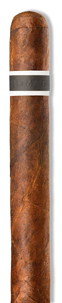 CroMagnon Cromagnon Anthropology