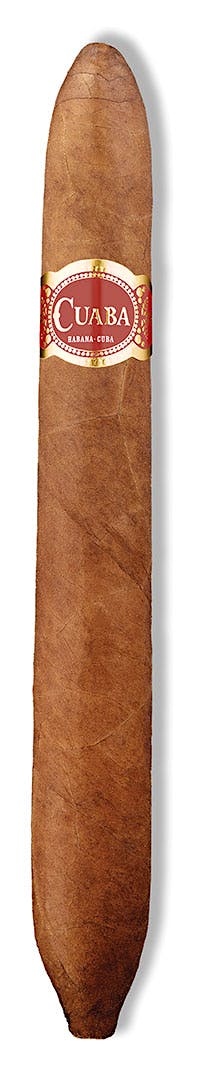 Cuaba Cuaba Salomon