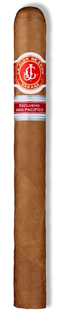 La Flor de Cano La Flor de Cano Diademas Exclusivo Asia Pacifico