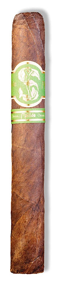 Matilde Matilde Oscura Toro Bravo