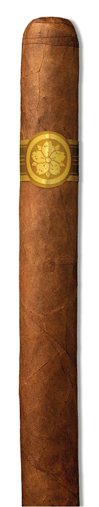 Room 101 Room 101 Master Collection Two Sucio