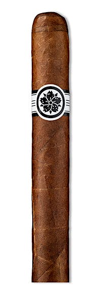Room101 Room101 Master Collection Three Sucio